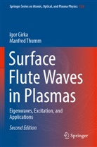 Igor Girka, Manfred Thumm - Surface Flute Waves in Plasmas