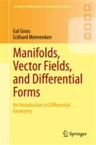 Gal Gross, Eckhard Meinrenken - Manifolds, Vector Fields, and Differential Forms