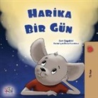 Kidkiddos Books, Sam Sagolski - A Wonderful Day (Turkish Book for Children)