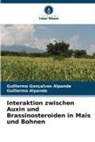 Guillermo Alpande, Guillermo Gonçalves Alpande - Interaktion zwischen Auxin und Brassinosteroiden in Mais und Bohnen