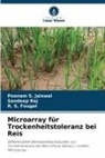 R S Fougat, R. S. Fougat, Poonam S Jaiswal, Poonam S. Jaiswal, Sandeep Raj - Microarray für Trockenheitstoleranz bei Reis