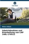 Eldave Dibala - Inbetriebnahme und Einarbeitung von CAP 140L-170512