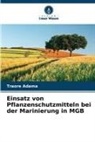 Traore Adama - Einsatz von Pflanzenschutzmitteln bei der Marinierung in MGB