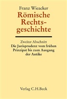 Franz Wieacker, Marius Bolten, Ulrich Manthe, Joseph Georg Wolf - Handbuch der Altertumswissenschaft: Römische Rechtsgeschichte