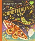 Rachel Ignotofsky, Rachel Ignotofsky - Das Wunder eines Schmetterlings - Wie sich die Natur verwandelt