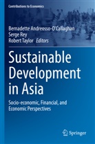 Bernadette Andreosso-O'Callaghan, Serge Rey, Robert Taylor - Sustainable Development in Asia
