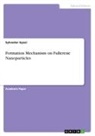 Sylvester Gyasi - Formation Mechanism on Fullerene Nanoparticles