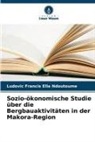 Ludovic Francis Ella Ndoutoume - Sozio-ökonomische Studie über die Bergbauaktivitäten in der Makora-Region