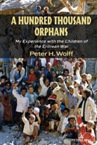 Peter H Wolff, Peter H. Wolff, Shirley R Steinberg, Shirley R. Steinberg - A Hundred Thousand Orphans