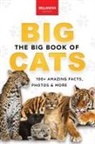 Jenny Kellett - The Big Book of Big Cats