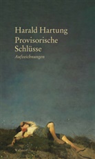 Harald Hartung, Harald (Prof. Dr.) Hartung - Provisorische Schlüsse