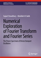 Abdullah Al Sakib, Sujaul Chowdhury - Numerical Exploration of Fourier Transform and Fourier Series