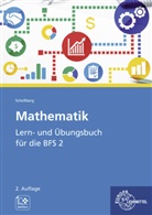 Daniel Schellberg - Mathematik - Lern- und Übungsbuch für die BFS 2