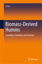 Li Liu - Biomass-Derived Humins
