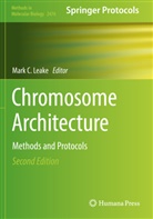 Mark C Leake, Mark C. Leake - Chromosome Architecture