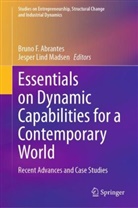 Bruno F. Abrantes, Bruno F Abrantes, Lind Madsen, Jesper Lind Madsen - Essentials on Dynamic Capabilities for a Contemporary World
