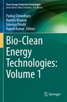 Pankaj Chowdhary, Namita Khanna, Rajesh Kumar, Soumya Pandit, Soumya Pandit et al - Bio-Clean Energy Technologies: Volume 1