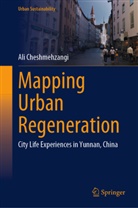 Ali Cheshmehzangi - Mapping Urban Regeneration