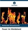 Mahboubeh Mirazahosseini - Feuer im Weideland