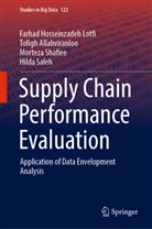 Tofigh Allahviranloo, Farhad Hosseinzadeh Lotfi, S, Hilda Saleh, Morteza Shafiee - Supply Chain Performance Evaluation
