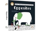 S&amp;S Alliance, Agnese Baruzzi, Raffaella Castagna - Opposites