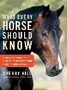 Cherry Hill - What Every Horse Should Know