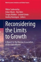Askar Akaev, Leonid Grinin, Ilya Ilyin, Ilya Ilyin et al, Andrey Korotayev, Sergey Malkov... - Reconsidering the Limits to Growth