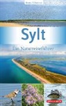 Bruno P Kremer, Bruno P. Kremer - Sylt