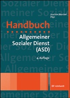 Marie-Luise Conen, ENDE, Sonja Enders, Kerstin Feldhoff, I Gissel-Palkovich, Ingrid Gissel-Palkovich... - Handbuch Allgemeiner Sozialer Dienst (ASD)