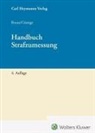 Hans-Jürgen Bruns, Georg-Friedrich Güntge - Handbuch Strafzumessung