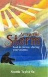 Scottie Taylor - After the Storm