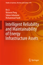 Sidum Adumene, Sidum et al Adumene, He Li, Weiwen Peng, Mohammad Yazdi - Intelligent Reliability and Maintainability of Energy Infrastructure Assets
