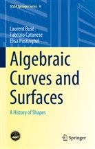 Laurent Busé, Fabrizio Catanese, Elisa Postinghel - Algebraic Curves and Surfaces