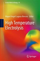 Miguel Angel Laguna-Bercero, Miguel Angel Laguna-Bercero - High Temperature Electrolysis