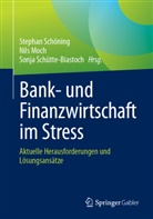 Schöning, Nils Moch, Stephan Schöning, Sonja Schütte-Biastoch - Bank- und Finanzwirtschaft im Stress