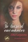 Zibia Gasparetto, By the Spirit Lucius - The Unexpected Encounter