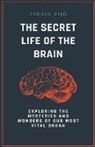 Sergio Rijo - The Secret Life of the Brain