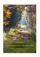 Peter Hafner - Für Augenblicke in die Stille gehn
