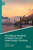 G Pereira, Damilola S. Olawuyi, Eduardo G. Pereira, Damilola S Olawuyi - The Palgrave Handbook of Natural Gas and Global Energy Transitions