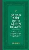 Matthias Egeler - Sagas aus dem Alten Irland