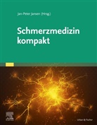 Jan-Peter Jansen - Schmerzmedizin kompakt