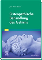 Jean-Pierre Barral - Osteopathische Behandlung des Gehirns