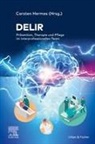 Carsten Hermes - Delir