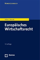Wolfgang Kilian, Domenik Henning Wendt - Europäisches Wirtschaftsrecht