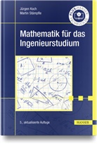 Jürgen Koch, Martin Stämpfle - Mathematik für das Ingenieurstudium