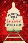 El último tren a Estambul