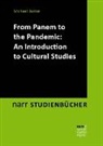 Michael Butter - From Panem to the Pandemic: An Introduction to Cultural Studies