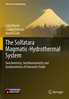Matteo Lelli, Luigi Marini, Claudia Principe - The Solfatara Magmatic-Hydrothermal System