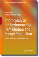 Chandra, Amrish Chandra, Seema Garg - Photocatalysis for Environmental Remediation and Energy Production