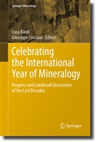 Luca Bindi, Cruciani, Giuseppe Cruciani - Celebrating the International Year of Mineralogy